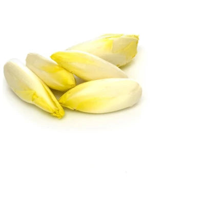 Cikória BIO (500g)