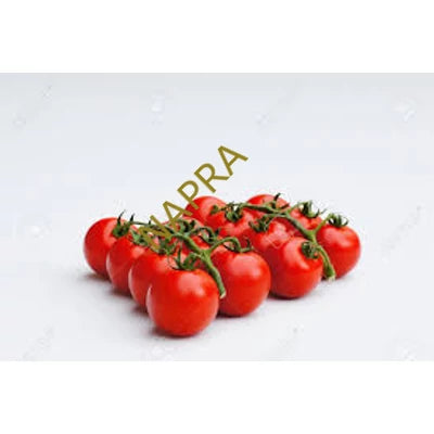 Koktélparadicsom BIO 500g