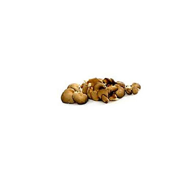 Bio Shiitake gomba 500g